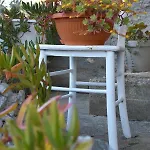 Greenvine * Zadar