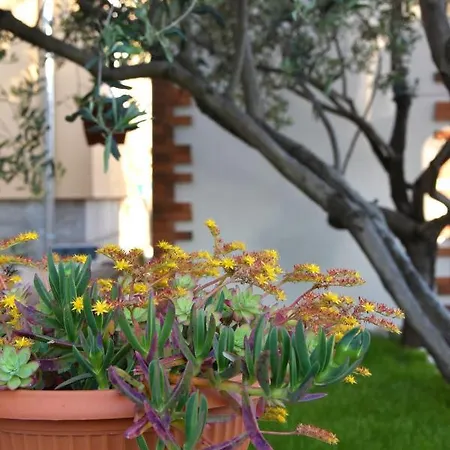 公寓 Greenvine 扎达尔