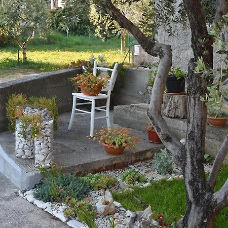 Greenvine Apartment *