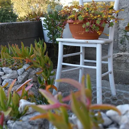 Greenvine Apartment